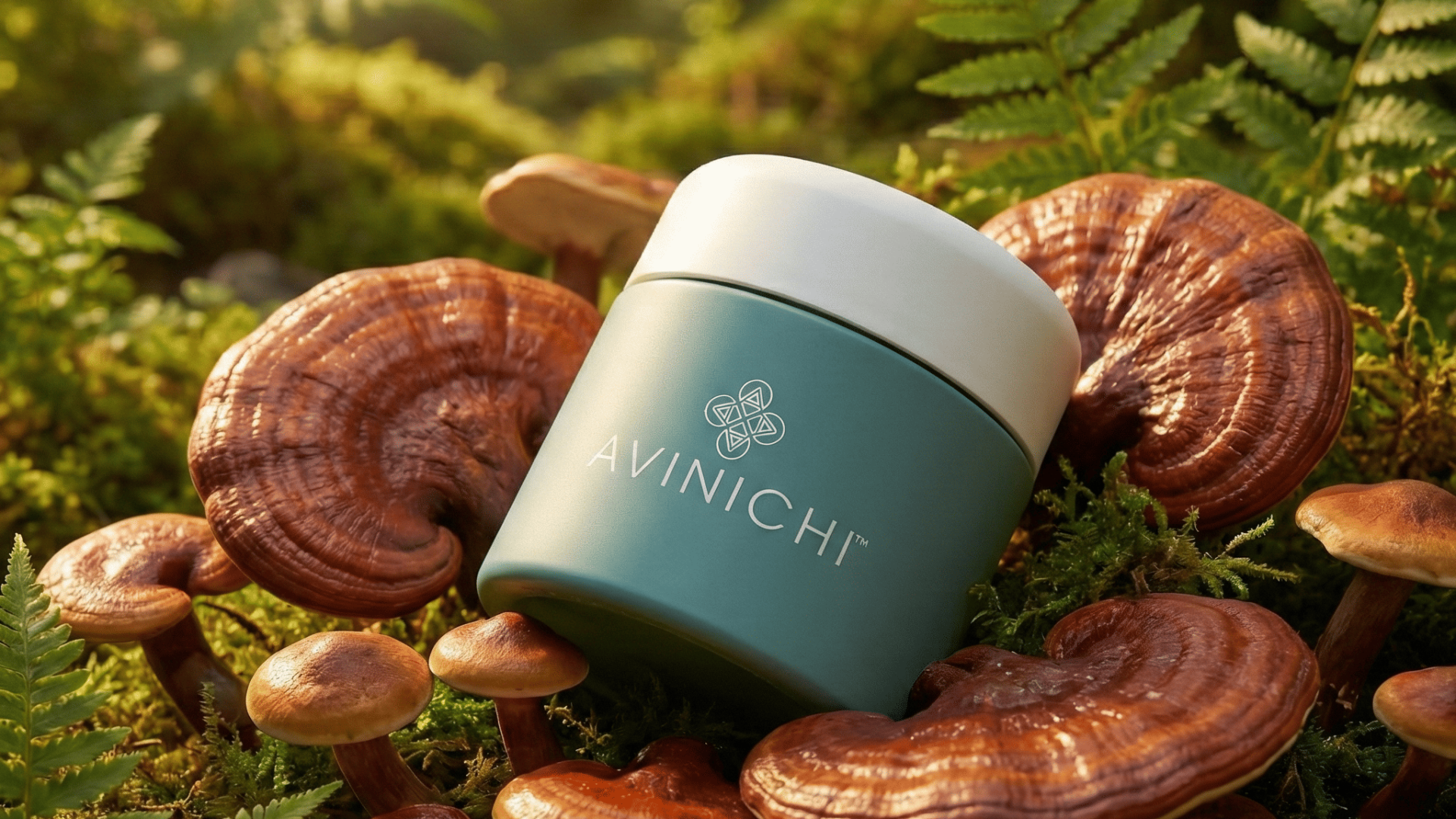 Avinichi skincare product with mushrooms and mycelium