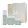 Spirulina Collection-1